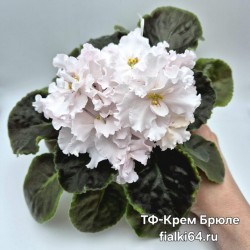 ТФ-Крем Брюле